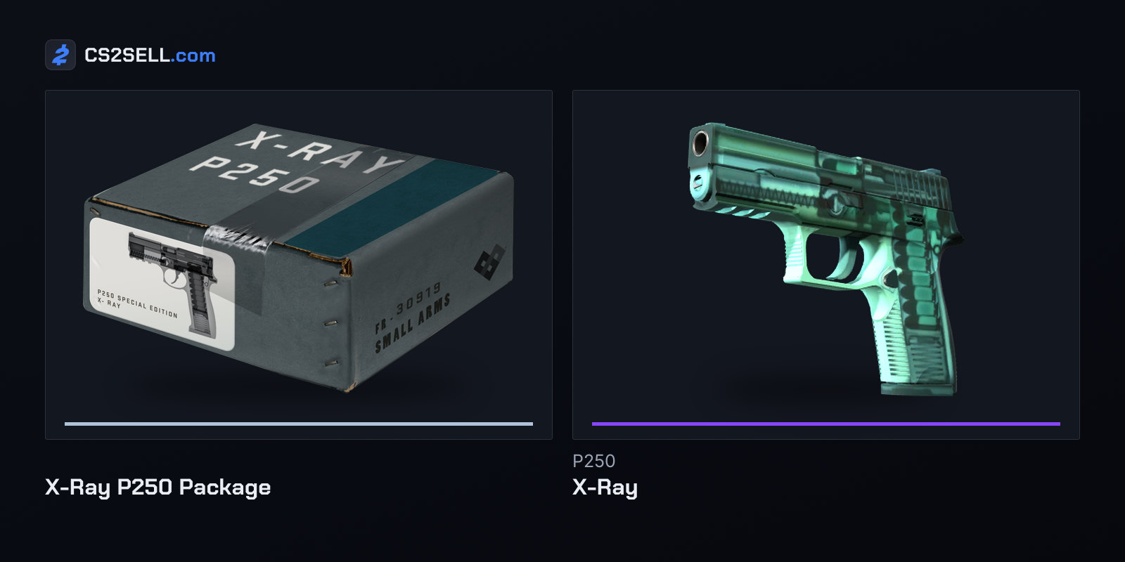 The X-Ray P250 Package, on sale worldwide since October 2, 2019, and the finish that comes preloaded in every scanner