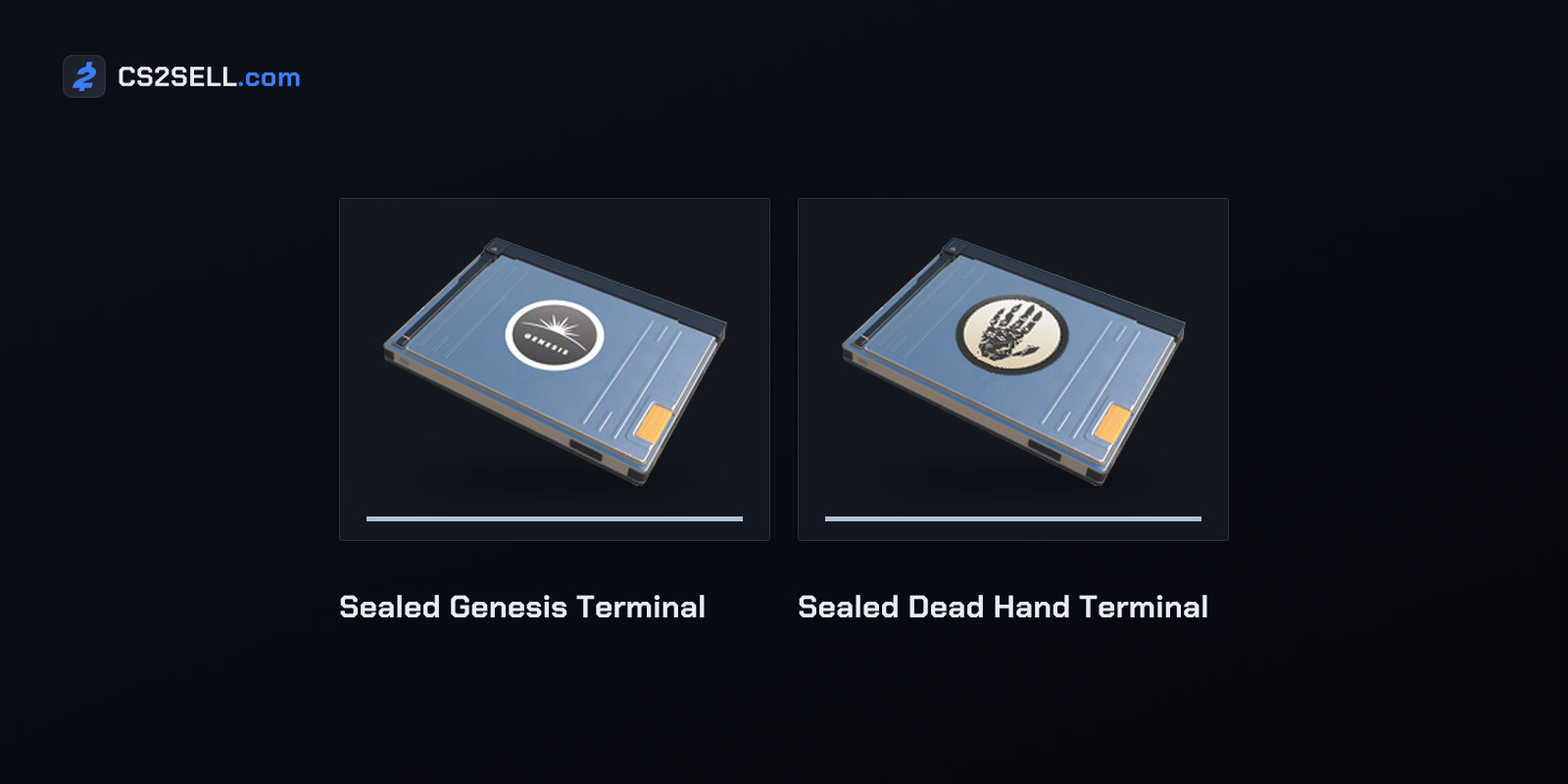 Wallet funds can pay for in-game CS2 purchases, including the items a terminal offers