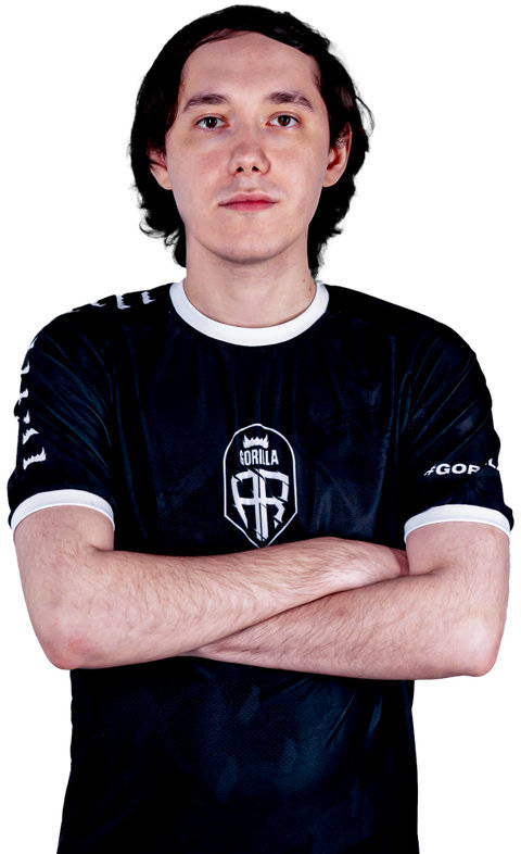 DSSj